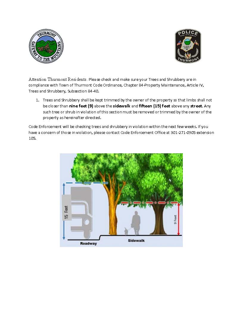 Announcement Tree Limbs